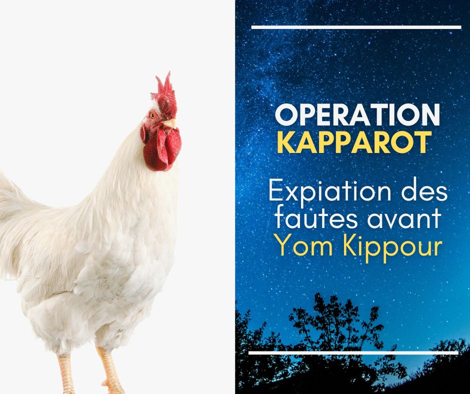 Hasdei avot - kapparot